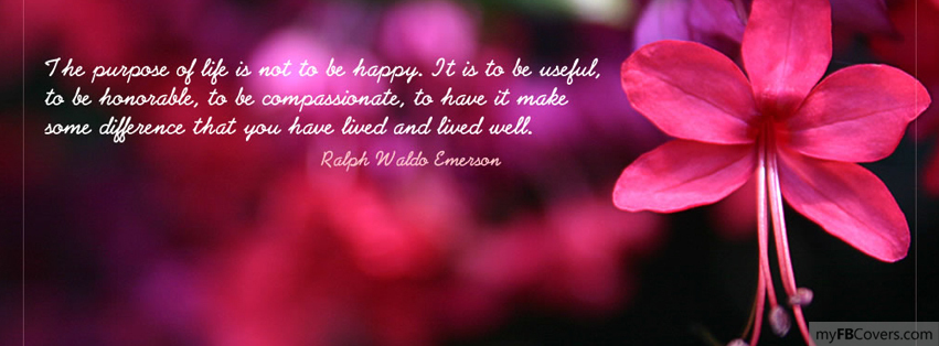 Flower Quote Facebook Covers Myfbcovers