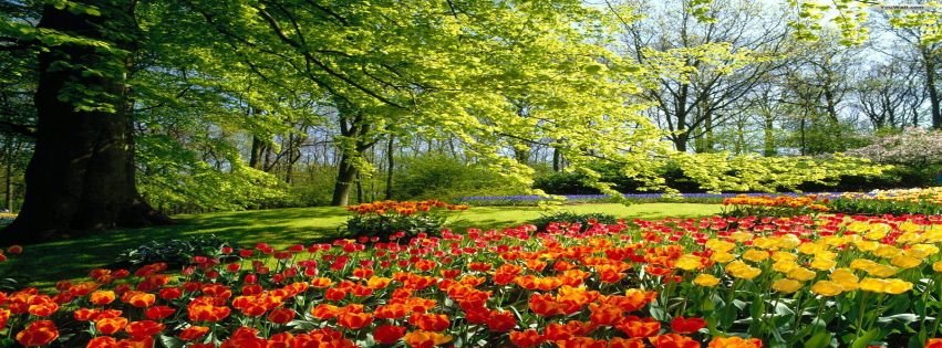 Beautiful Flower Garden Wallpapers Facebook Covers ...