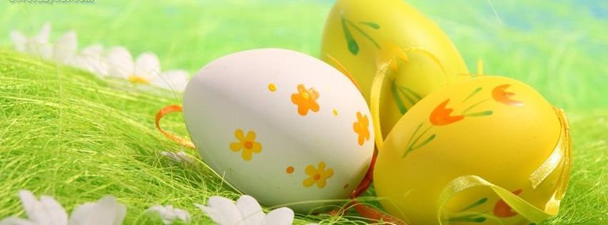 Covers and the number one source for Easter Spring Eggs Flowers Facebook Ti...