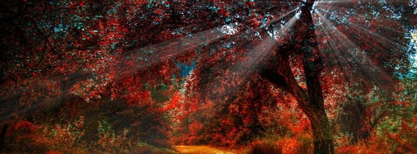 Facebook Cover Nature Other Roadside Scenery