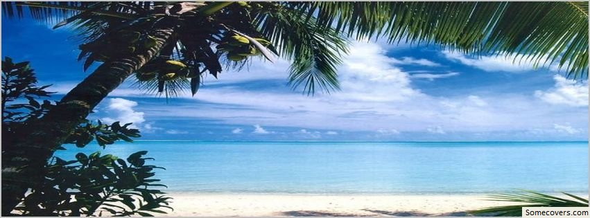 Caribbean Christmas Nature Scenery Facebook Timeline Cover